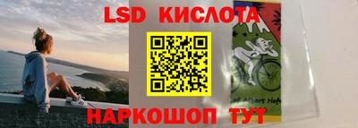 винт Камышлов