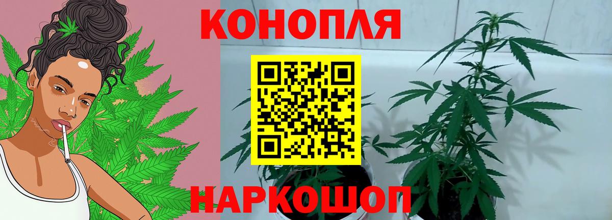 Канабис VHQ Ленинск-Кузнецкий